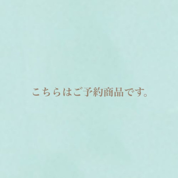 ????ご予約アイテム????