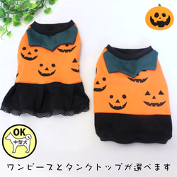 シュガーパイン　ハンドメイド　犬服　ハロウィン切替　肩フリルタンク　③ シュガーパイン様 専用 ハンドメイド 犬服 ハロウィン切替 肩