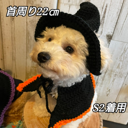 《ハロウィン》犬の帽子☆魔女の帽子 11枚目の画像