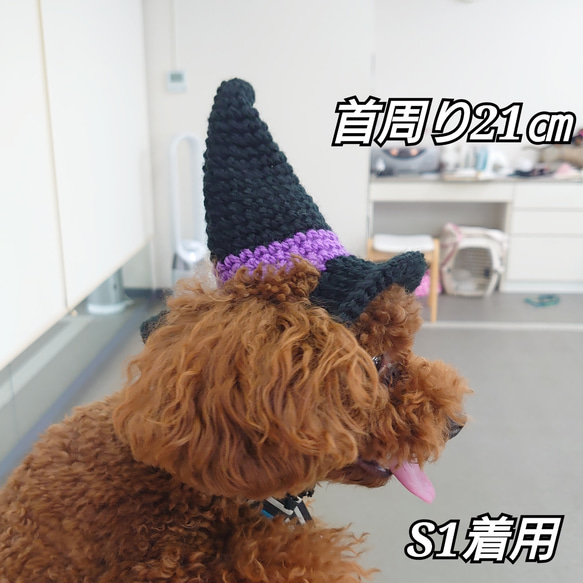 《ハロウィン》犬の帽子☆魔女の帽子 7枚目の画像