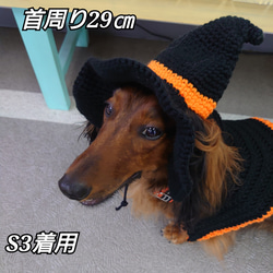 《ハロウィン》犬の帽子☆魔女の帽子 12枚目の画像