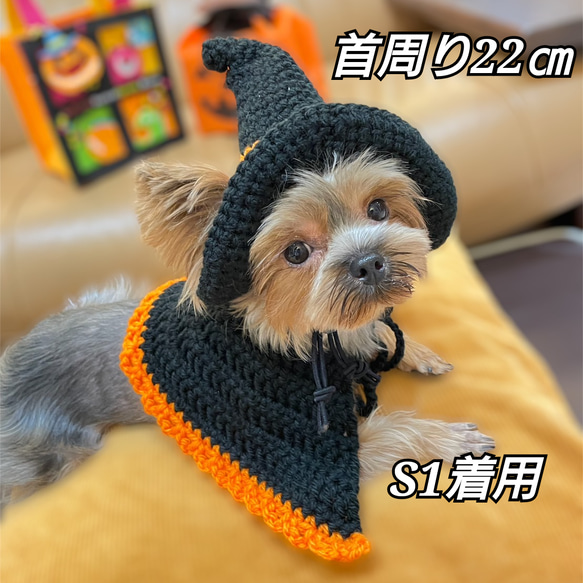 《ハロウィン》犬の帽子☆魔女の帽子 9枚目の画像