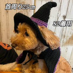 《ハロウィン》犬のマント☆魔女のマント 8枚目の画像