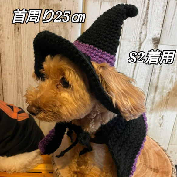 《ハロウィン》犬のマント☆魔女のマント 8枚目の画像