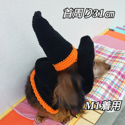 《ハロウィン》犬のマント☆魔女のマント 9枚目の画像