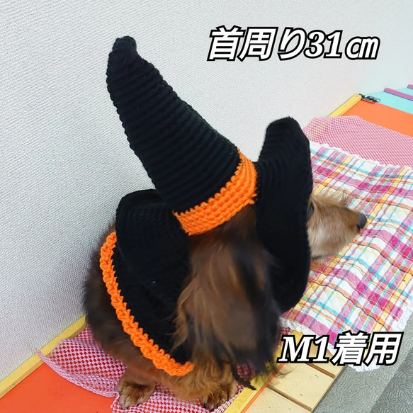 《ハロウィン》犬のマント☆魔女のマント 9枚目の画像