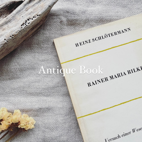 ドイツの古書 Antique Book レトロ 装飾品 古道具 蚤の市