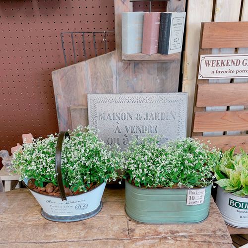 フローリア キューブ24cm ホワイト アンティーク鉢 植木鉢 花柄