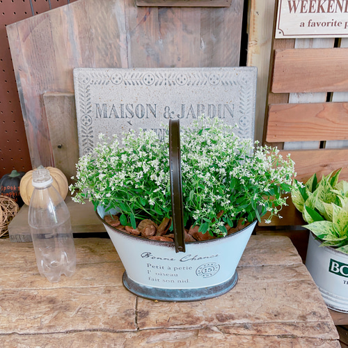 取っ手つきブリキ鉢♡【ユーフォルビア寄せ植え】長く咲き続ける