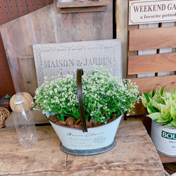 c606a98ef0827a3dd8afba23134216