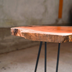 欅 輪切り材のローテーブル③ （高さ・カラー変更無料） 10枚目の画像