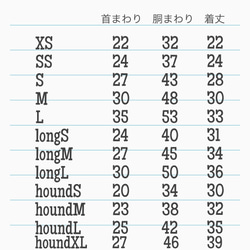  第5張的照片