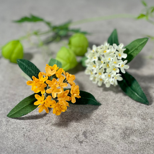 布花白く小さな可憐な花姿。控えめな香りの銀木犀のブローチ 秋の誕生 