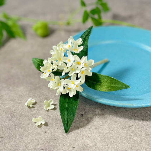 布花白く小さな可憐な花姿。控えめな香りの銀木犀のブローチ 秋の誕生 