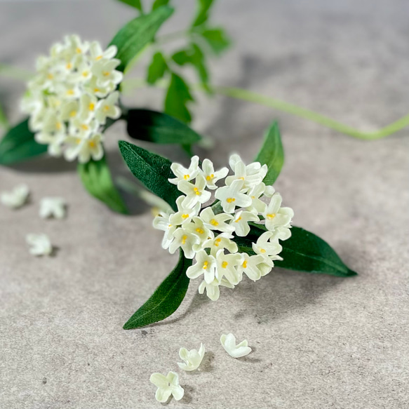 布花白く小さな可憐な花姿。控えめな香りの銀木犀のブローチ 秋の誕生 