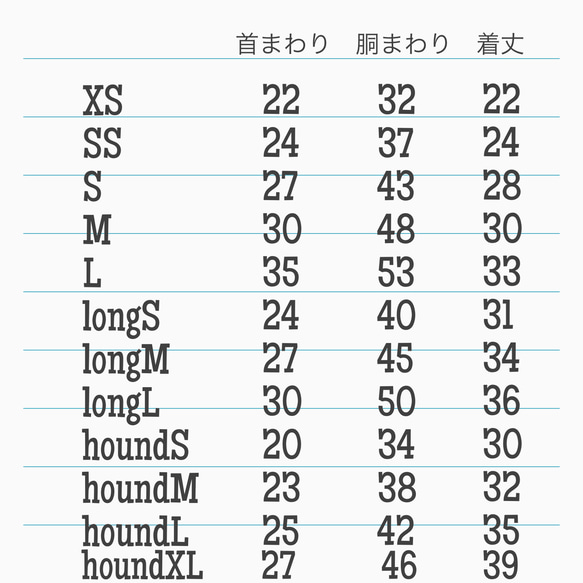  第11張的照片