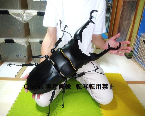 65f21688da79ae889a76913b42d4a0