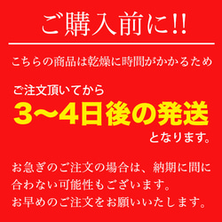 桐箱付き フリーカップ 春秋模様 焼酎カップ 湯吞み 金文字 名入れ 桜 紅葉 春秋柄 赤 タンブラー 書道家が書く 名 8枚目の画像