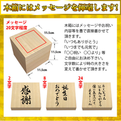 桐箱付き フリーカップ 春秋模様 焼酎カップ 湯吞み 金文字 名入れ 桜 紅葉 春秋柄 赤 タンブラー 書道家が書く 名 4枚目の画像