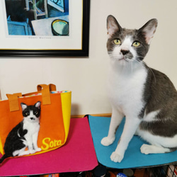 羊毛フェルト猫のフレ―ム、置物、ハンドメイドバック 手作りニードルフェルト 羊毛フェルトショルダーバッグ 猫ちゃん