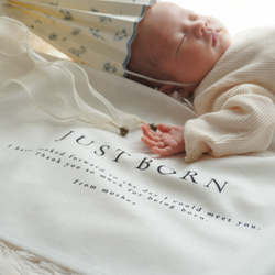 T025 【 JUST BORN tapestry 】 ニューボーン 新生児 誕生祝い タペストリー 誕生日 スタジオ 4枚目の画像