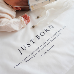 T025 【 JUST BORN tapestry 】 ニューボーン 新生児 誕生祝い タペストリー 誕生日 スタジオ 5枚目の画像