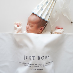 T025 【 JUST BORN tapestry 】 ニューボーン 新生児 誕生祝い タペストリー 誕生日 スタジオ 9枚目の画像