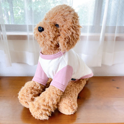 犬服　ジャガードTシャツ　くすみピンク 5枚目の画像