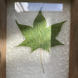 【送料無料】旭川家具職人が造りました。サスティナブルな木工品　木製枠 ガラスフレーム　フレーム　インテリア　北海道美瑛町 3枚目の画像