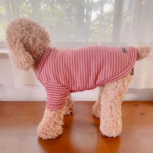 犬服　ボーダーTシャツ　ピンク 8枚目の画像