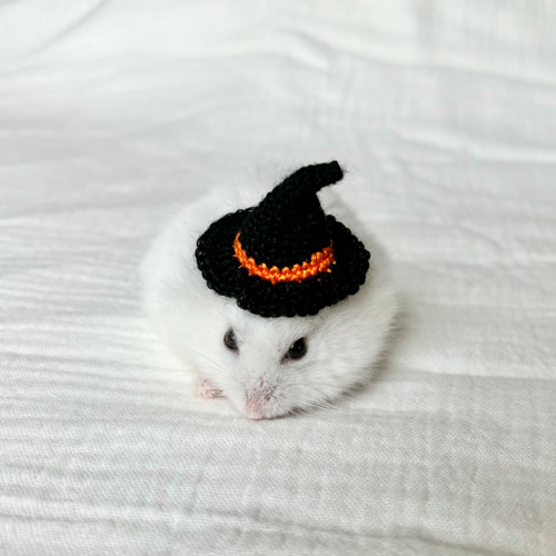 ハロウィン・ 魔女帽子 ハムスター・小動物・ぬいぐるみ ペット