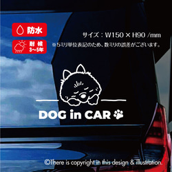 DOG IN CAR/ポメラニアン【カッティングステッカー】手書きわんこ 2枚目の画像