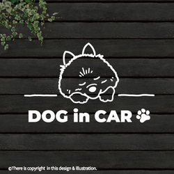 DOG IN CAR/ポメラニアン【カッティングステッカー】手書きわんこ 1枚目の画像