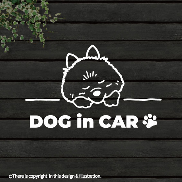 DOG IN CAR/ポメラニアン【カッティングステッカー】手書きわんこ 1枚目の画像