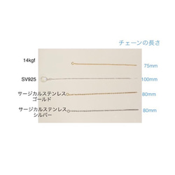 ＊レインボームーンストーン＊SV925アメリカンチェーンピアス▪︎14kgfアメリカンチェーン▪︎サージカルステンレス 2枚目の画像