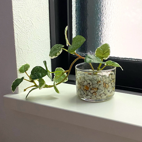 観葉植物部門｜当店人気 No.3】□雫の葉□ 本物そっくり枯れない観葉