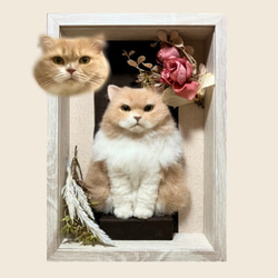 展示用作品】羊毛フェルト猫 nyanbox（全身タイプ） 羊毛フェルト nyan