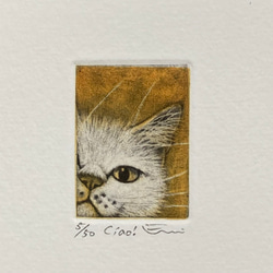 銅版画「Ciao！」白猫 yellow   額付 1枚目の画像