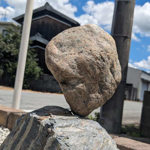 円盤型　焼き物　アート　オブジェ パンダ オブジェ陶器 淵脇克仁作 陶仁 鹿児島 陶芸家 陶器