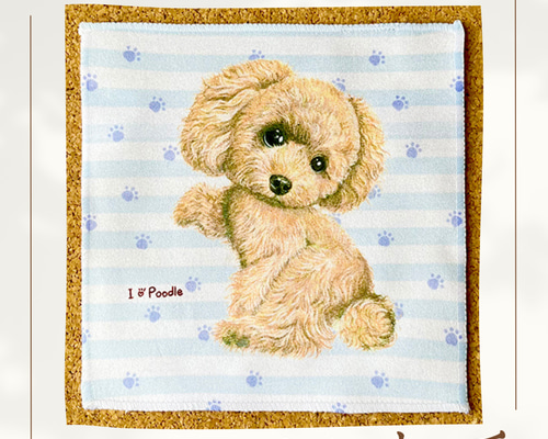 トイプードル・クリーム】ハンカチタオルラッピング対応プレゼントにも