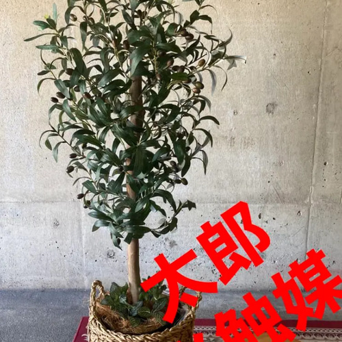 光触媒　人工観葉植物　ウォールグリーン　フェイクグリーン　オリーブtja 光触媒 人工観葉植物 ウォールグリーン フェイクグリーン