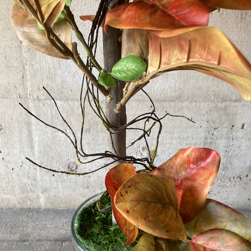 光触媒人工観葉植物ウォールグリーンフェイクグリーンマグノリアツリー15