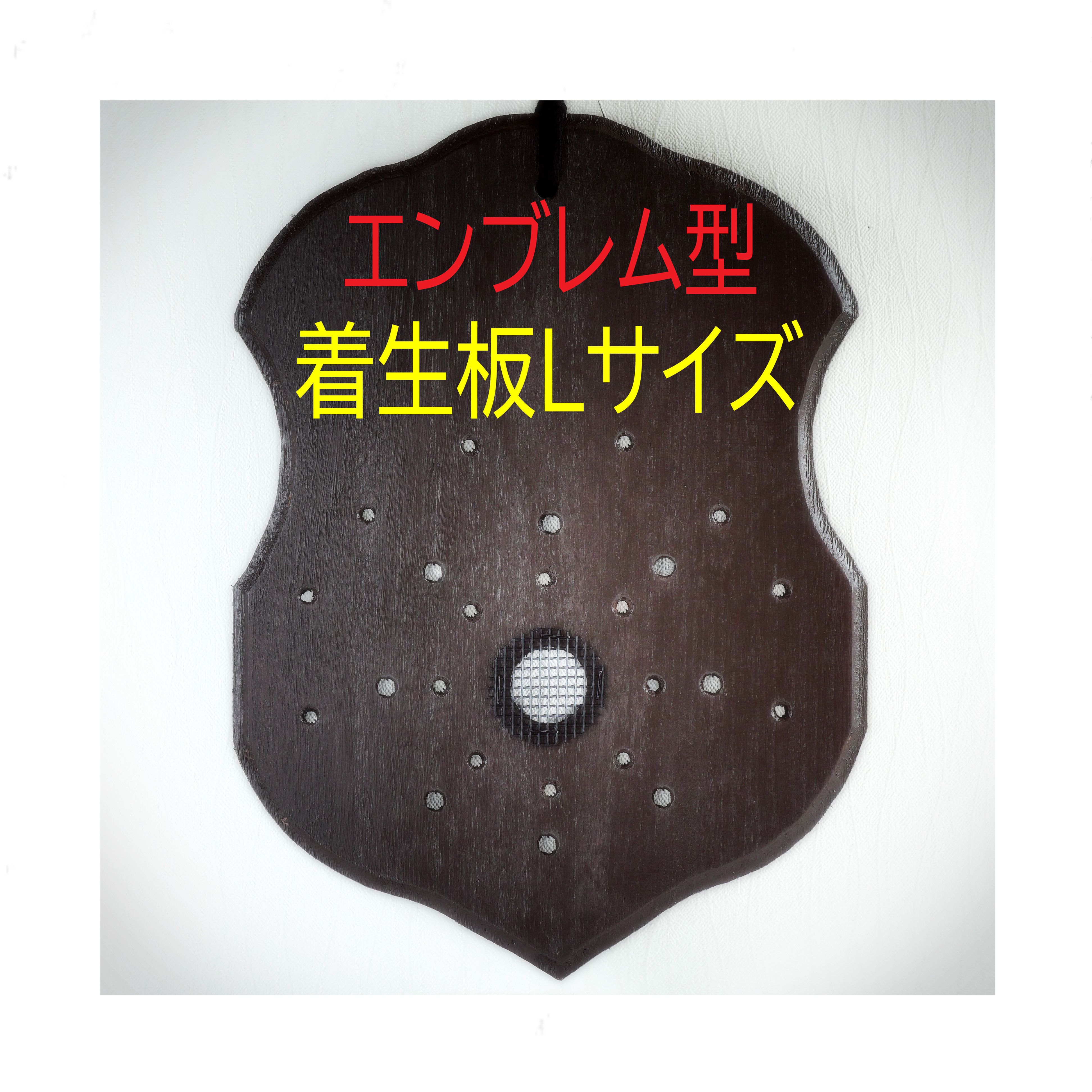 発送不可　近隣地域配達可⭐️コウモリラン　特大サイズ　ビカクシダ　*1541
