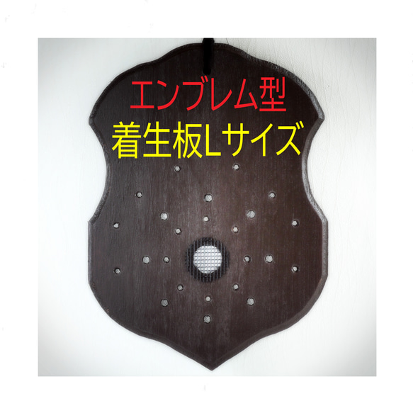 楽天市場】観葉植物板付けセット ビカクシダ コウモリラン 関東