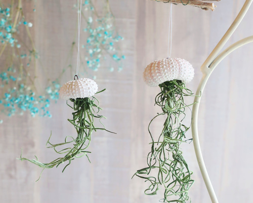 d31e478d282ea94a755538b5fa79ee