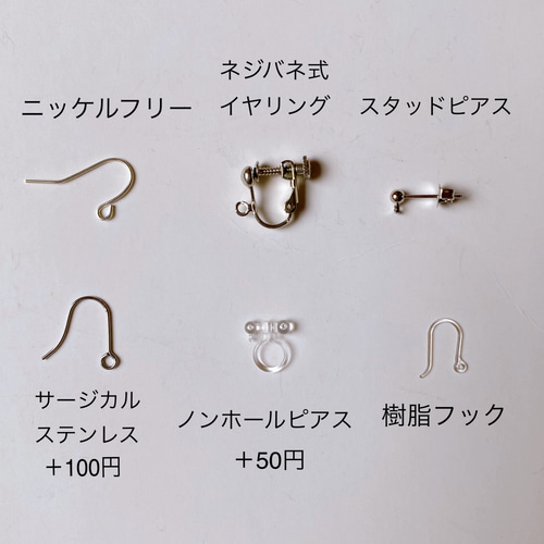 ピピandシェリー様♡専用ページ〔ネジバネイヤリング・ピアス 〕 22ea0f30047bfdf31107ce84b4d416