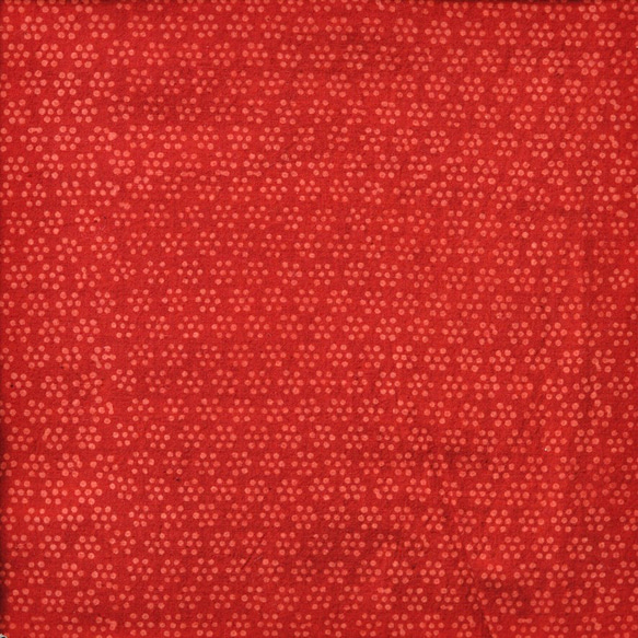 50cm単位　インド天然染めブロックプリント　アジュラクプリント　木版更紗　AJ039 1枚目の画像