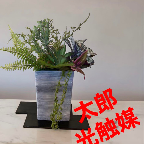 光触媒人工観葉植物ウォールグリーンフェイクグリーンライト