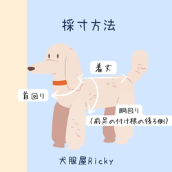 フリフリ☆なハロウィン　白タンクトップ犬服オーダー（SSS～LLL）　小型犬中型犬 9枚目の画像