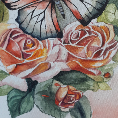 水彩画 蝶とバラの花 絵画 makochin 通販 16433197｜Creema